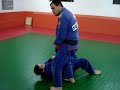 DEFESA PESSOAL (SELF DEFENSE) JIU-JITSU