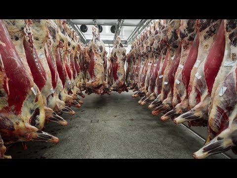 America’s Food Crisis: THE OMNIVORE’S DILEMMA | Global Hunger and the