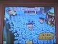 Animal-Crossing-Wild