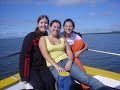 truma de Biologia Marinha truma de Biologia Marinha