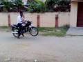 videos de stunt