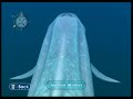 Endless Ocean - Ancient Mother and Blue Whale