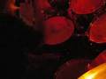 HATRED ANGEL / I don't wanna die... Drum cam