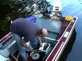 Thats a Load of Fish