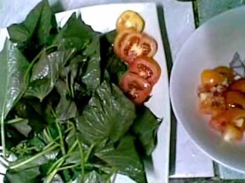 how to grow talbos ng kamote