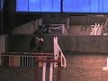 Showjumping at Swallowfield 11.11.06 Showjumping at Swallowfield 11.11.06