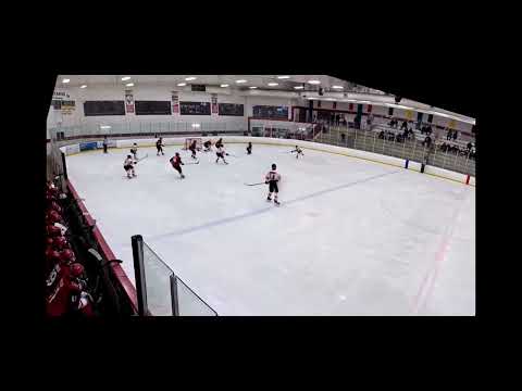 Chris goal VS Ari Coyotes