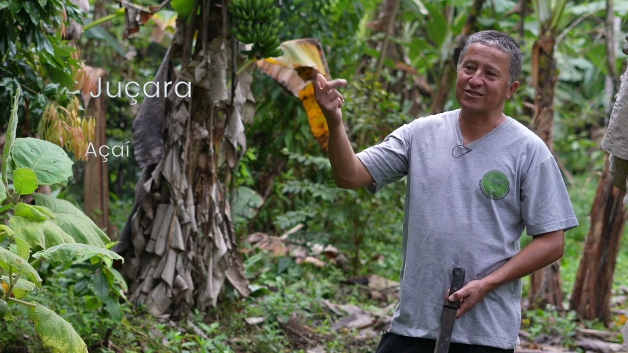 Diversidade e Agregação de Valor em Agrofloresta no Sítio Bela Vista