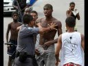 Execuções Diárias