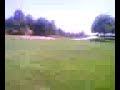 fun at the park fun at the park