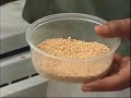 SOMALI COOKING SHOW-ORANGE CHICKEN . PART 5
