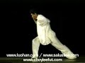 Luohan Gong Dr. Gaspar Garc�a