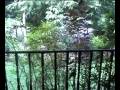 Tropical Garden Bungalow Video tour by Tiger Muay Thai, Phuket, Thailand