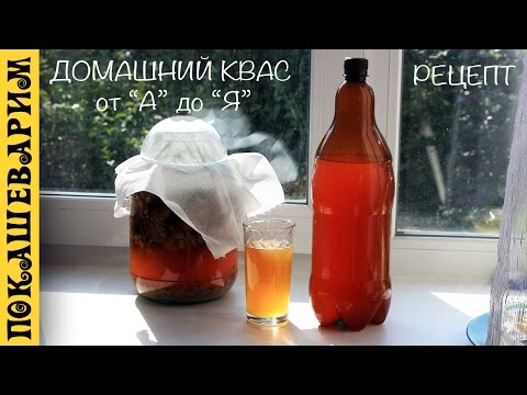 Домашний квас на закваске без дрожжей. Все подробно. Рецепт