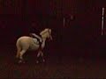karera en dressage karera en dressage