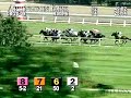 ARLINGTON PARK, 2008-08-20, Race 6