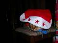 buon natale.wmv