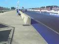Shakin' em on Down at Norwalk