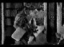 Re: EXCLUSIVE! Ghost in Venezuelan TV Commercial. Toddy!