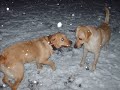 Achille e la neve Achille e la neve