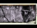 Geriljakino kaheteistkümnes seanss. Maarjamäe Memoriaal 24.08.11.