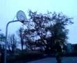 Superdunk