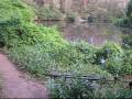 Carp Fishing Australia Part 3 Carp Fishing Australia Part 3