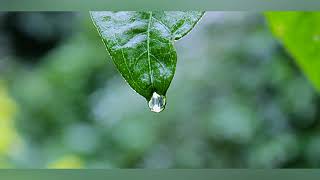 432Hz Powerful Binaural Beats to increase Focus/Concentration!!!