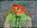 حقوق المرأة  casa2008_casa@hotmail.comمقطع آخر للأستاذ أحمدعزيويالرابطhttp://fr.youtube.com/watch?v=3X-DbFAgxKo