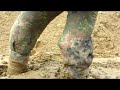 See Video