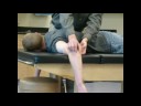 triceps triceps
