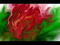ROSYART 36 - ROSE CHINTZ