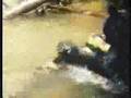 ANACONDA VE JAGUAR KAVGASI (BELGESEL)