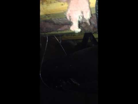 how to properly support floor joist