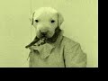 Input Junkies - Airdog Theme Input Junkies - Airdog Theme