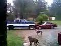 Ford verses Nissan Take 1