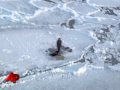 Canadian Teen Rescued on Arctic Ice