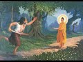 Buddha Sutra