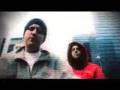 Pantherplatten - Jetzt ist der panther am platz