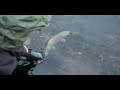 Lure Fishing - Brown trout in France n°1 Lure Fishing - Brown trout in France n°1