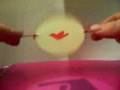 birdcage thaumatrope