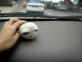 Mia's Cute Turtle