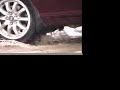 Slush