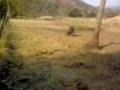 BORRACHO DEL RANCHITO EN BOMBARDIER
