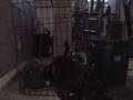 Dog-Houdini-escape