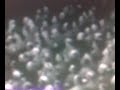Video0020.3gp
