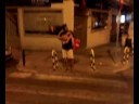 serenatas a madrid  camilo roman 