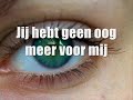 Jan Smit - Niet Over Rozen (Met Songtekst) REQ