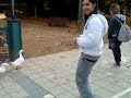 Pato Maraton.mp4