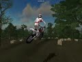 RBX Steve-0